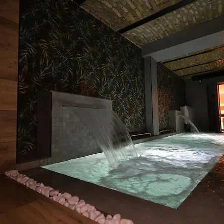 شقة فندقية Royal Wellness And 4*